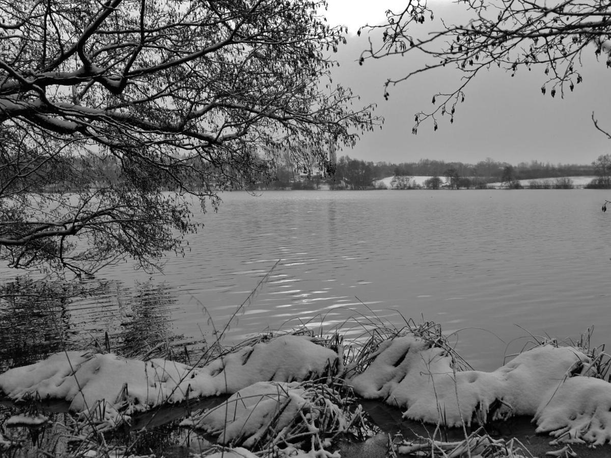 Flat In Eutin On The Kleiner Eutiner See Lake Eksteriør billede