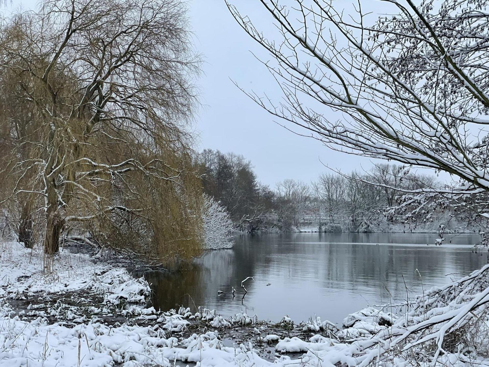 Flat In Eutin On The Kleiner Eutiner See Lake Eksteriør billede
