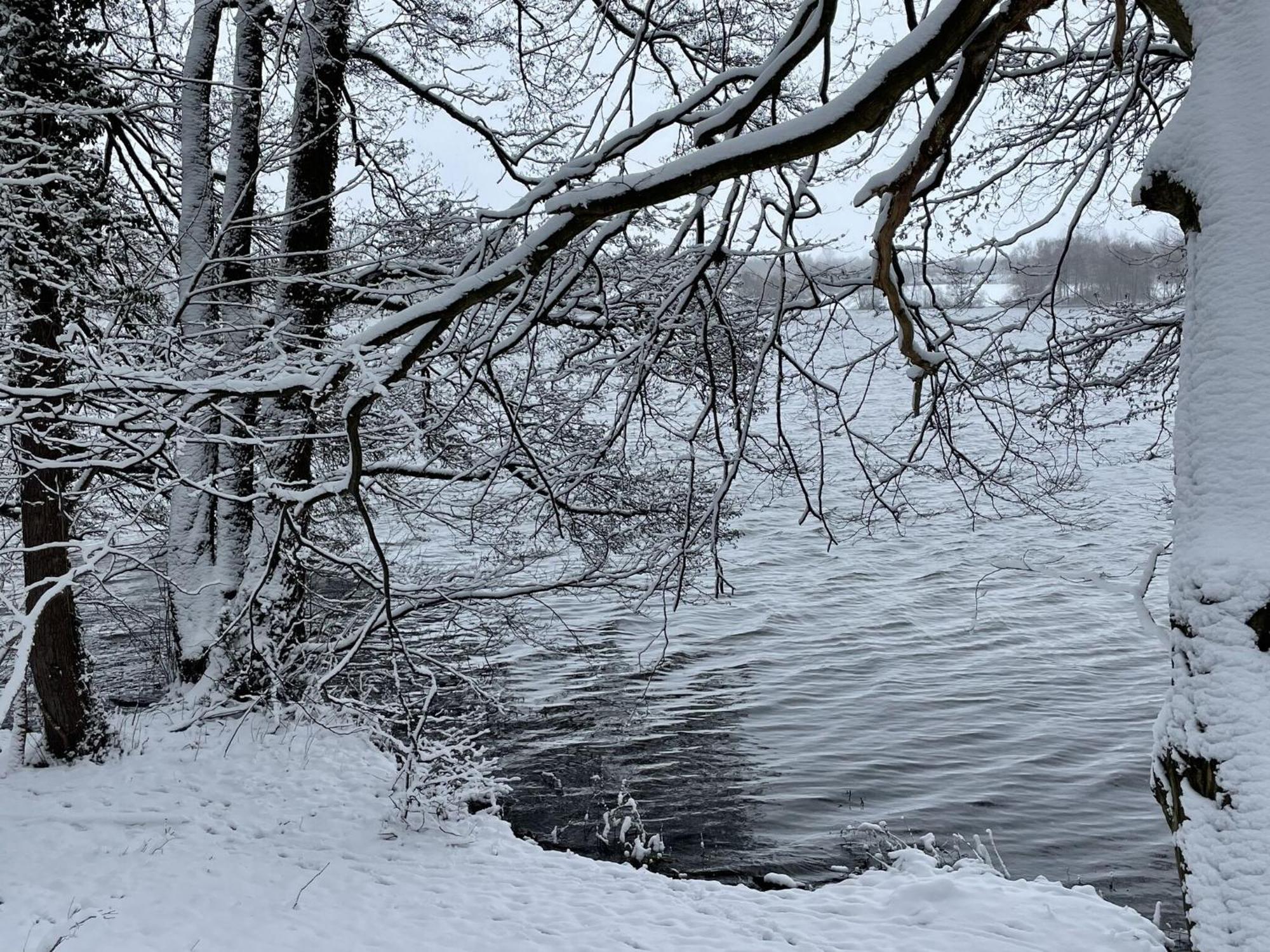 Flat In Eutin On The Kleiner Eutiner See Lake Eksteriør billede