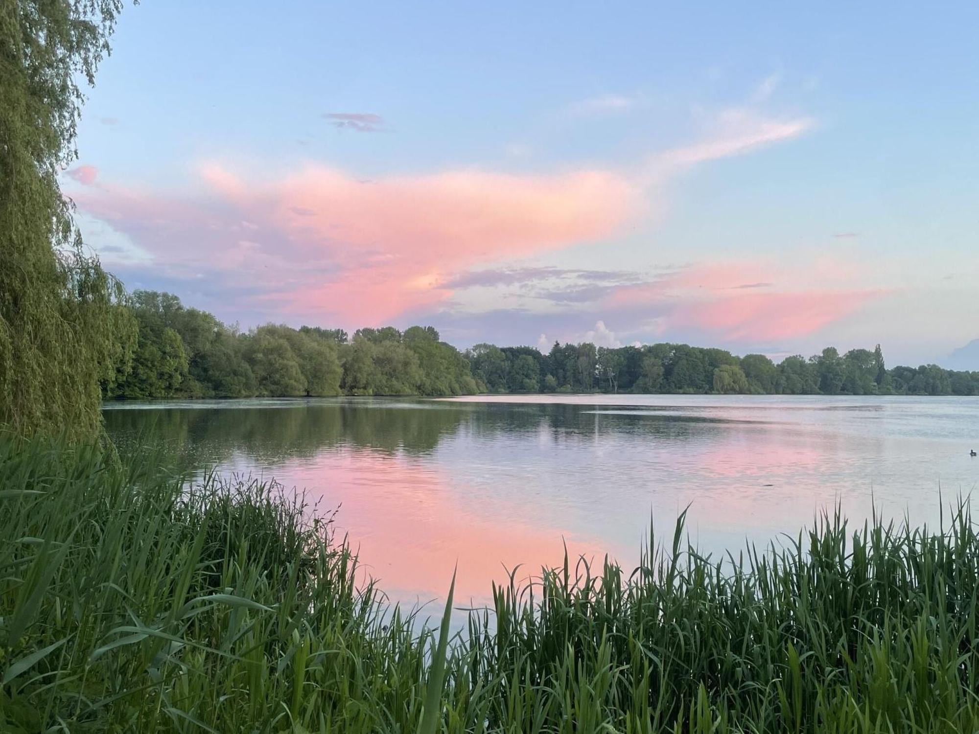 Flat In Eutin On The Kleiner Eutiner See Lake Eksteriør billede